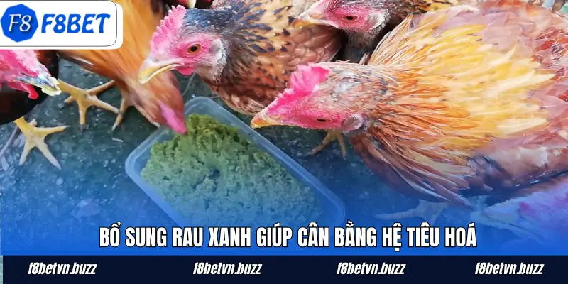 Bổ sung rau xanh giúp cân bằng hệ tiêu hoá