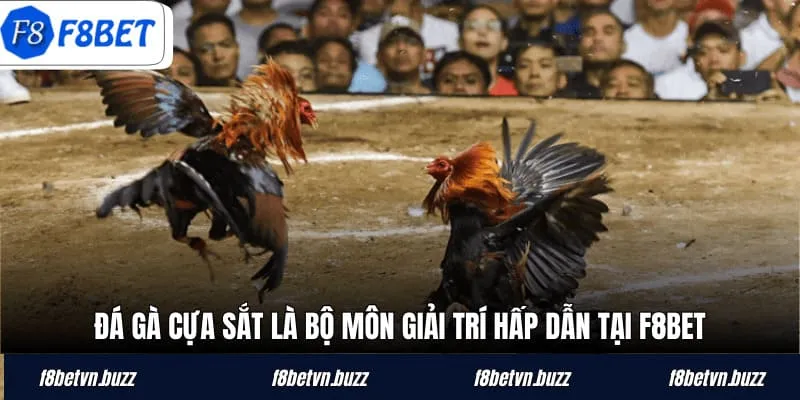 Đá gà cựa sắt là bộ môn giải trí hấp dẫn tại F8BET