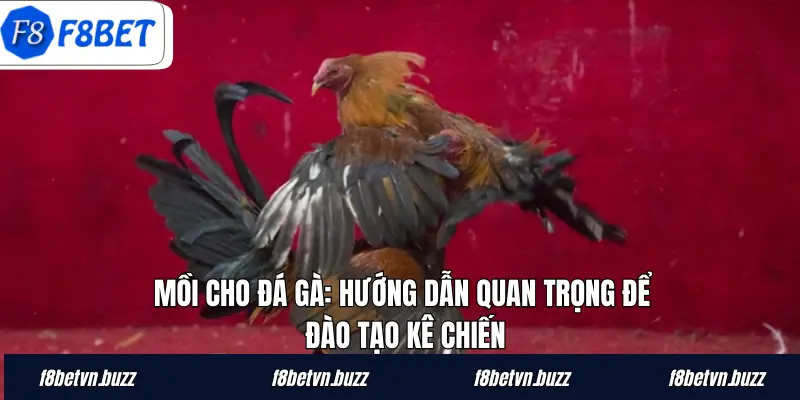 Mồi cho gà đá