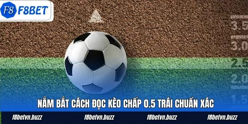 Nắm bắt cách đọc kèo chấp 0.5 trái chuẩn xác