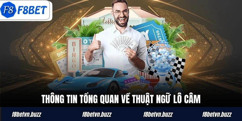Thông tin tổng quan về thuật ngữ lô câm