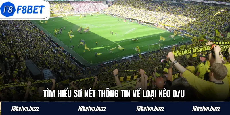 Tìm hiểu sơ nét thông tin về loại kèo O/U