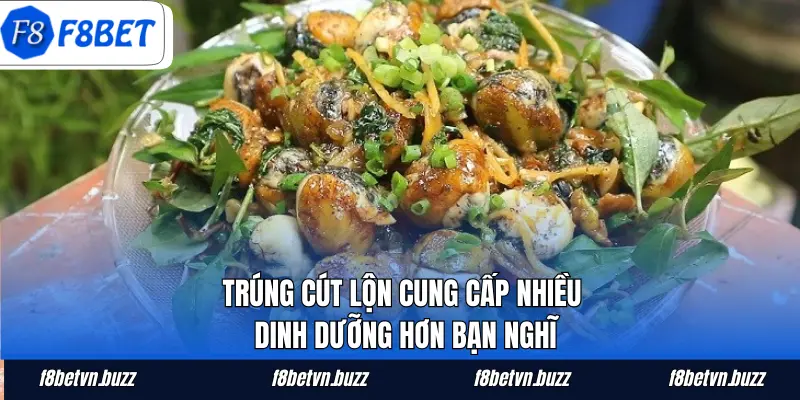 Trúng cút lộn cung cấp nhiều dinh dưỡng hơn bạn nghĩ